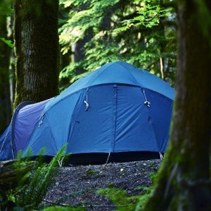 The Best 10 Person Tent