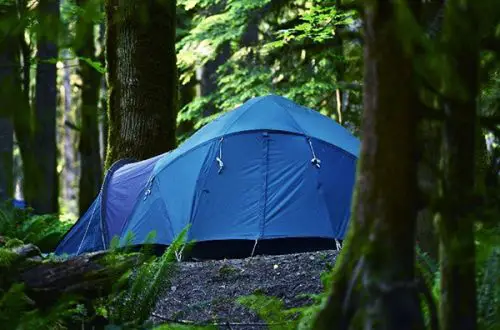 The Best 10 Person Tent