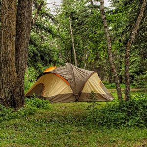 The Best 12 Person Tent