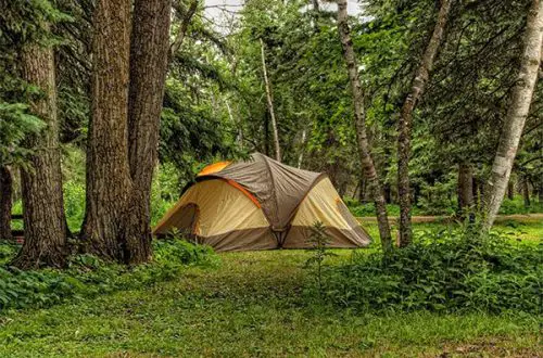 The Best 12 Person Tent