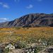 The Best Anza Borrego Camping