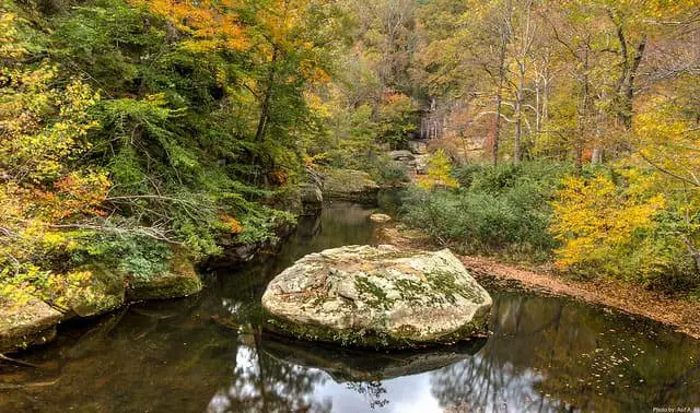 Best Camping in Illinois - Bell Springs