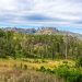 The Best Custer State Park Camping