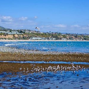 The Best Doheny State Beach Camping