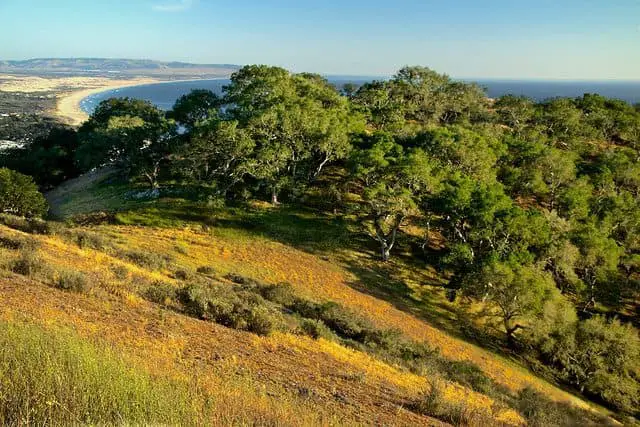 The Best Jalama Beach Camping - Pismo Coast Village