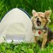 The Best Dog Tent