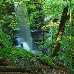 The Best Starved Rock Camping