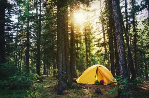 Sustainable Camping: The Definitive Guide