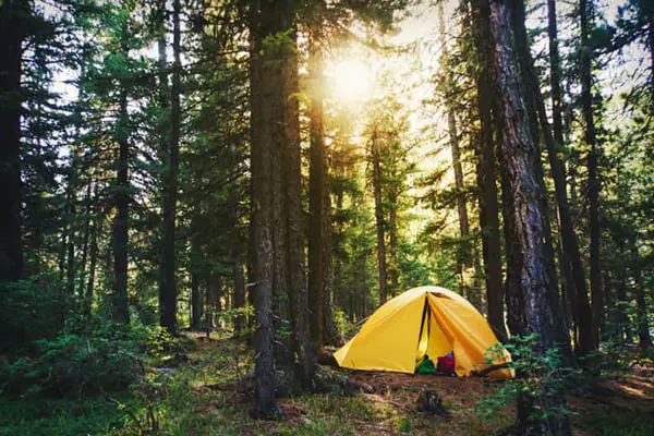 Sustainable Camping: The Definitive Guide - Professional Camping